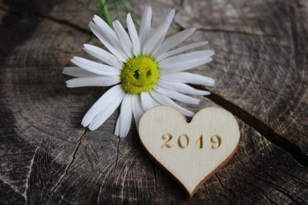 Happy New Year 2019の写真素材