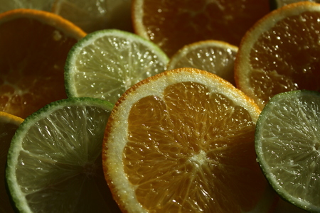 citrus fruitsの写真素材
