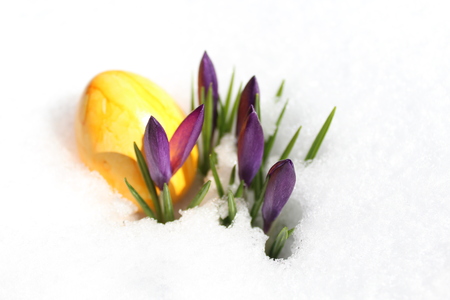 Easter decoration in the snowの写真素材