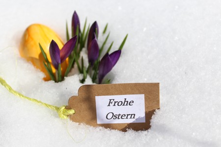 Easter decoration in the snowの写真素材