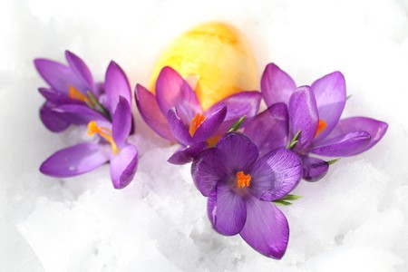 Easter decoration in the snowの写真素材