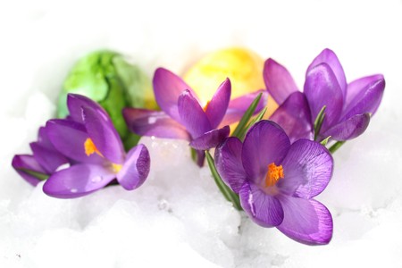 Easter decoration in the snowの写真素材