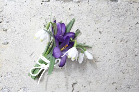 different early flowering plants