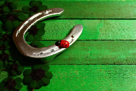 Horseshoe, ladybug and lucky cloverの写真素材