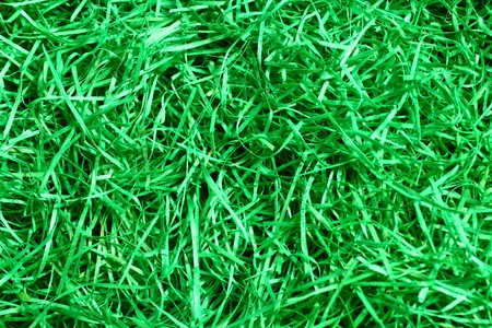 Easter grass