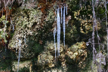 Icicles in the winterの写真素材