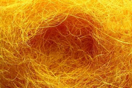 yellow eastergrass