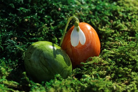 Happy Easter greetingsの写真素材