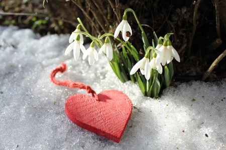 Warm flower greetingの写真素材