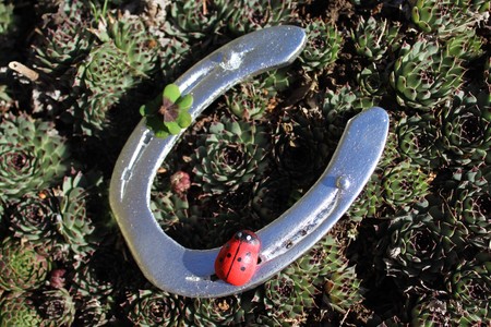 Good luck !の写真素材