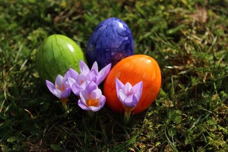 Best easter wishes