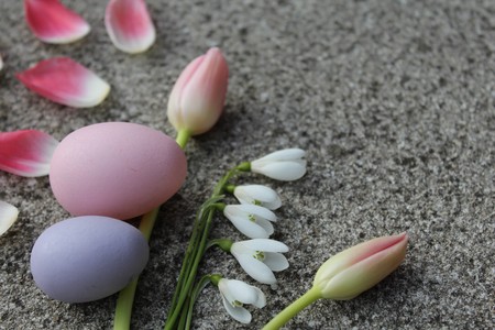 Happy Easter greetingsの写真素材