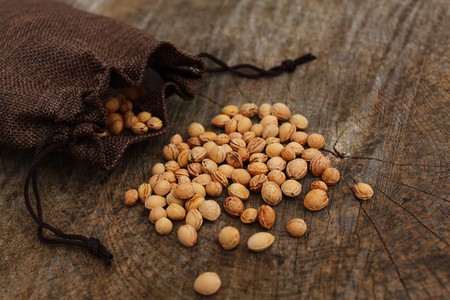 Cherry pits in jute sackの写真素材