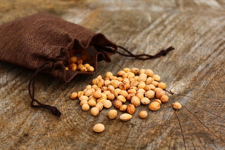 Cherry pits in jute sackの写真素材