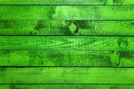 Green wood backgroundの写真素材