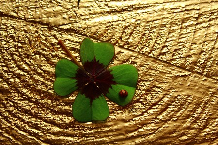 Good luckの写真素材