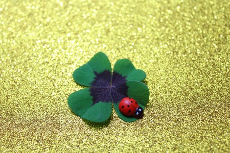 Lucky clover and lucky beetle on a golden glittering background