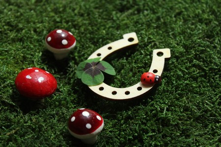 Lucky charm in the mossの写真素材