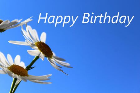 Happy birthday greetings with flowersの写真素材