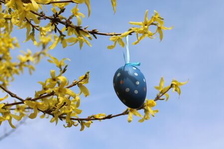 Easter egg in the forsythia