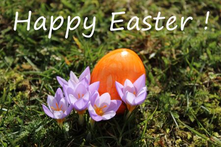 Happy easter greetings