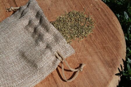 Fresh and dried rosemary in the gardenの写真素材