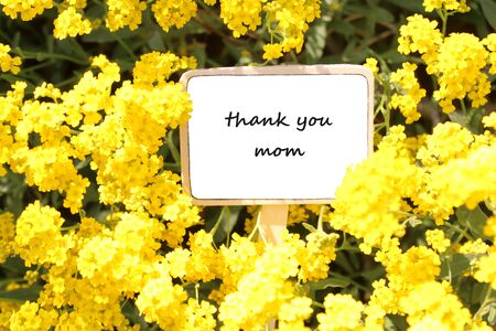 Mother`s day greetings and yellow flowersの写真素材