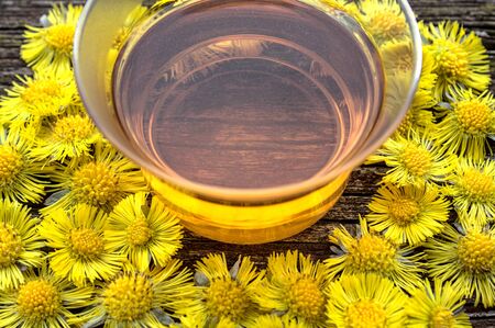 Coltsfoot tea in coltsfoot blossomsの写真素材