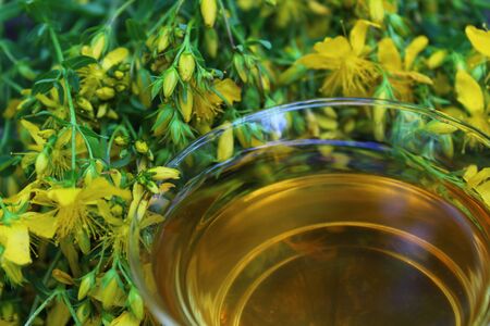herb tea on an old weathered tree trunkの写真素材
