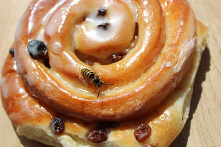 The picture shows a wasp on a dessert.