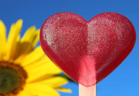 a red ice and a sunflowerの写真素材