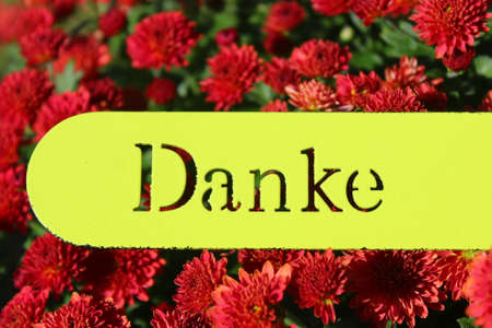 a crysanthemum with a sign with the german text thank youの写真素材