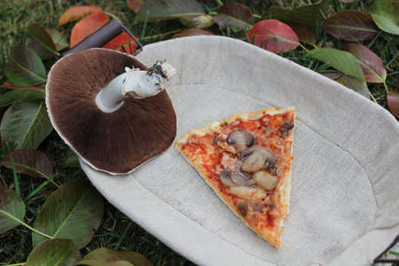 a piece of pizza and a champignon
