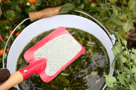 liquid manure from herbs and rock flour in front of a tomatoの写真素材