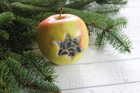 handmade birdfood in an apple