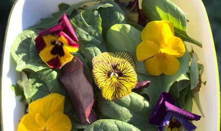 delicious salad with edible blossomsの写真素材