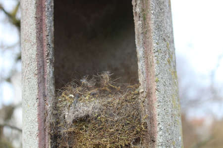 open birdhouse in the winter