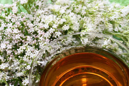 valerian tea on green boardsの写真素材
