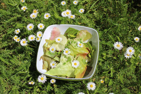 salad with daisy flowers in a meadowの写真素材