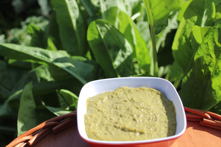 Spinach sauce in a bowl and fresh spinach leaves in the backgroundの写真素材