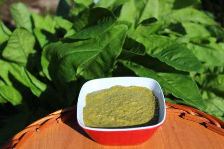 Spinach sauce in a bowl on a table in the gardenの写真素材