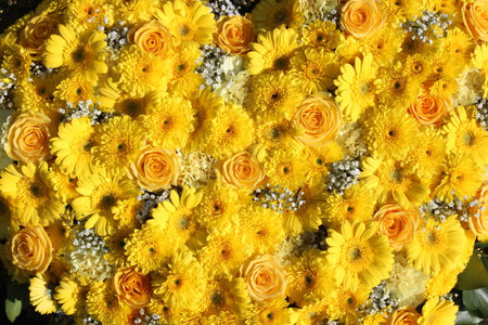 Bouquet of yellow chrysanthemums in a flower shopの写真素材