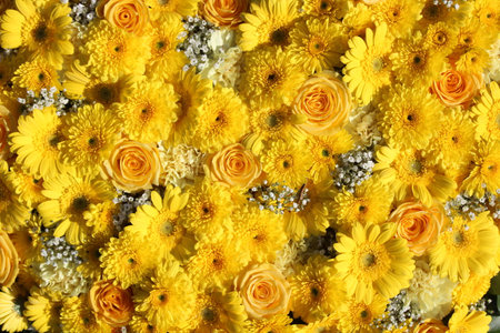 Beautiful yellow flowers as background, top view. Floral patternの写真素材