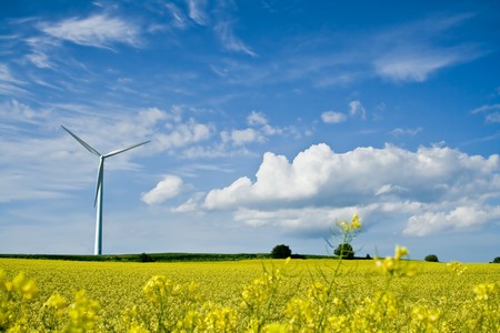 A windmill in a rape field on a background of blue skyの写真素材