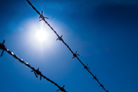 Barbed wire in high contrast against the sun on a blue skyの写真素材
