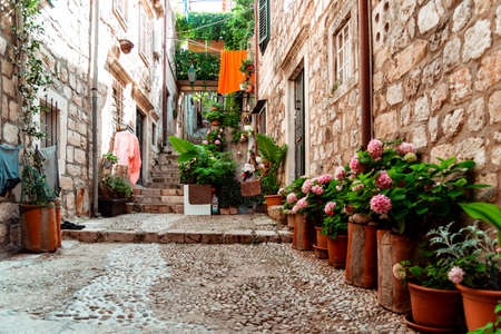 Small alleys full of flowers in Dubrovnik, Croatiaの写真素材