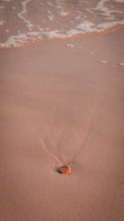 Background with a stone at sunset on the Baltic Sea