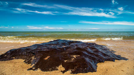 View of the Baltic Sea on a summer holiday day
