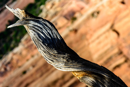scenic images at Colorado National Monumentの写真素材