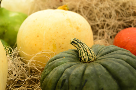 Halloween gourds of differrent colors and sizes